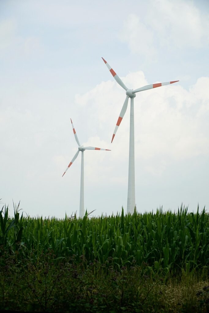 Molino de viento